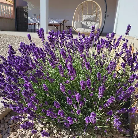 Ferienhaus Kuca Za Odmor - My Soul Šibenik