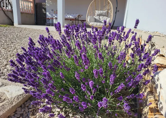 Ferienhaus Kuca Za Odmor - My Soul Šibenik